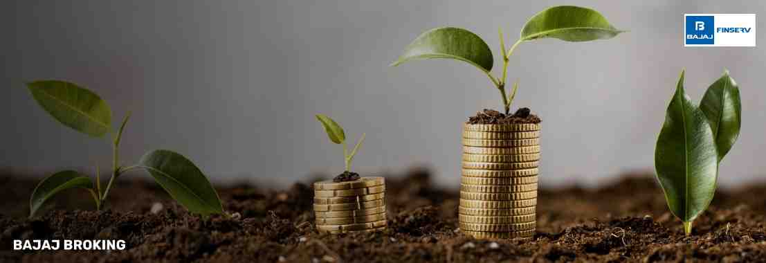 What is Accumulated Fund - Meaning, Formula & Calculation