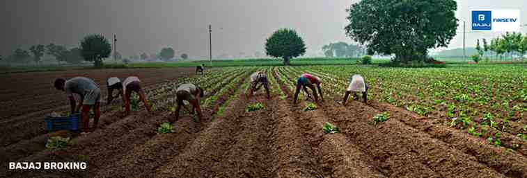 Agricultural Stocks Boosted by Monsoon Trends