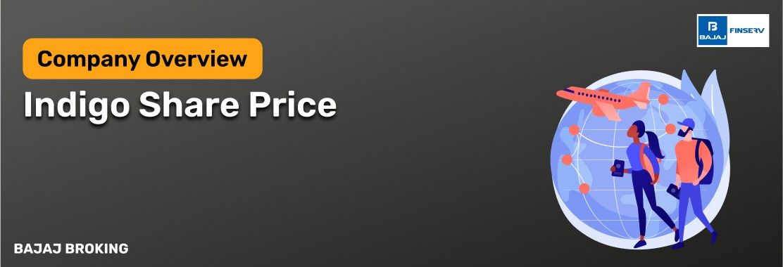 Indigo – History, Overview & Future Outlook