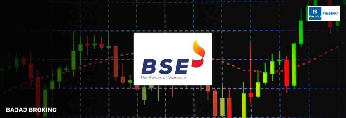 BSE Share Price Appears to Dip 67% Amid Bonus Adjustment