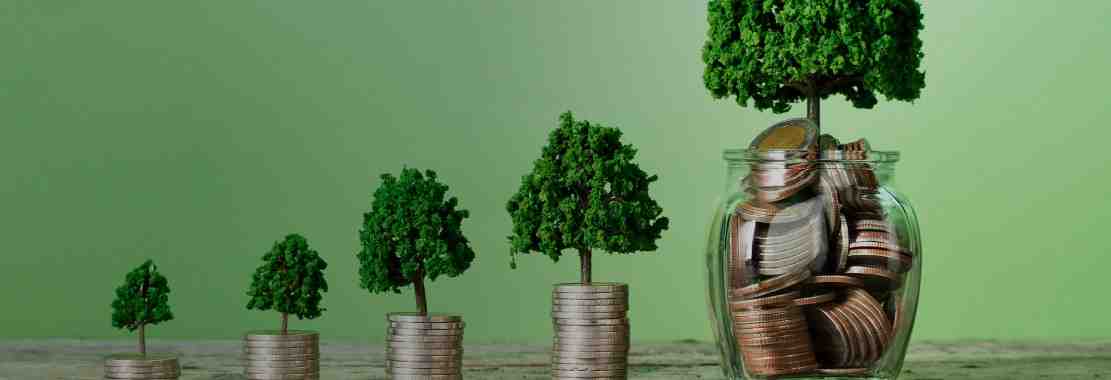 What is a Mutual Fund Custodian and Why Is It Important?
