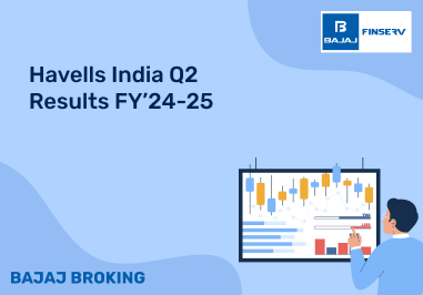 Havells India Q2 Results FY24-25 Highlights, Revenue and Profit Surge ...