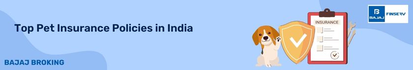 How To Check Prudent Corporate Advisory IPO Allotment Status